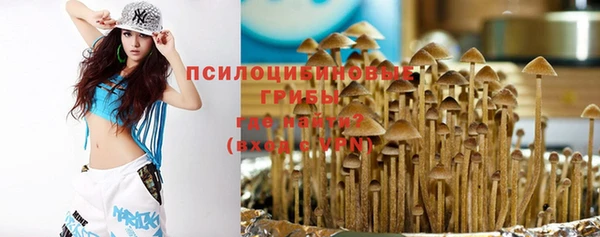 mdpv Майский