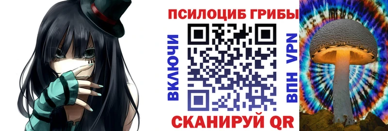 где можно купить наркотик  Тейково  блэк спрут tor  Псилоцибиновые грибы Psilocybe 