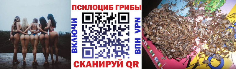 Галлюциногенные грибы MAGIC MUSHROOMS Тейково