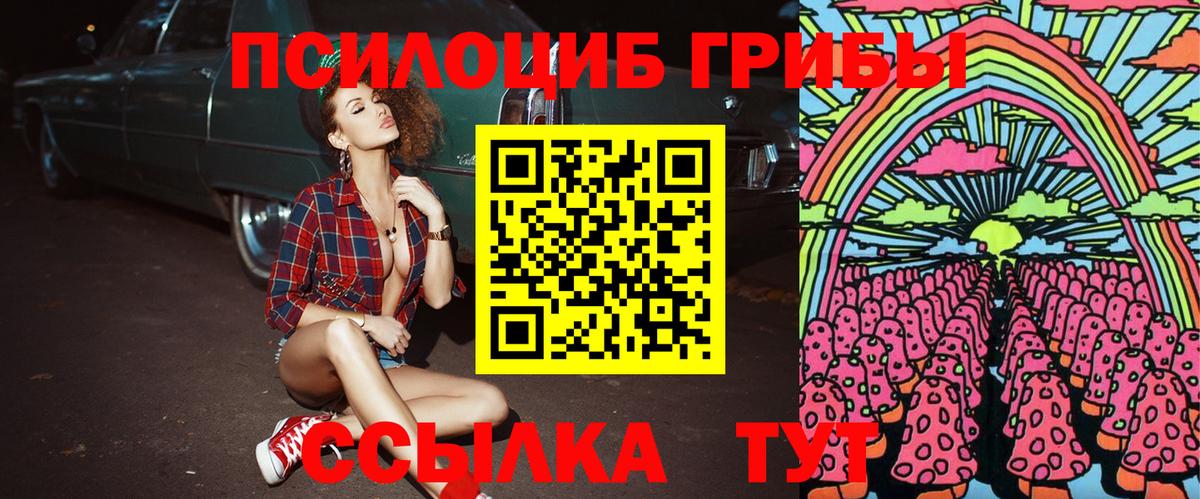 даркнет сайт  Тейково  Галлюциногенные грибы Magic Shrooms 