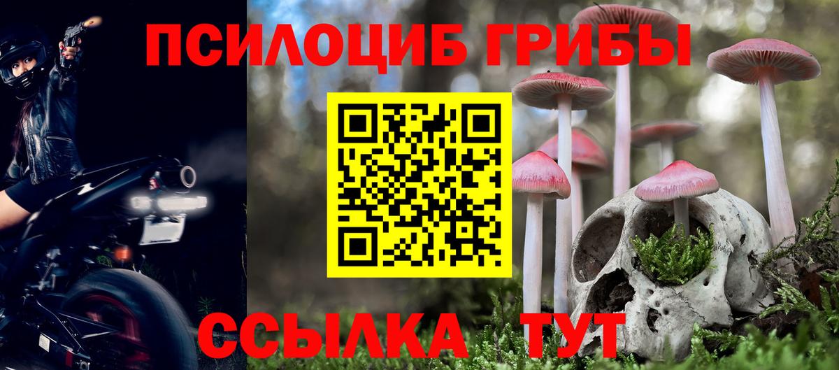 Псилоцибиновые грибы прущие грибы  Псилоцибиновые грибы GOLDEN TEACHER  Тейково  Вход с VPN 